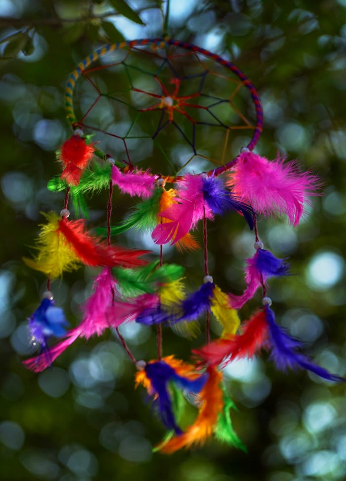 Vibrant dreamcatcher with colorful feathers hanging outdoors, showcasing handcrafted artistry.